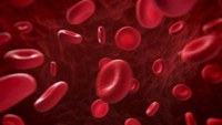 Blood Cells