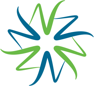Vasculitis Logo No Text
