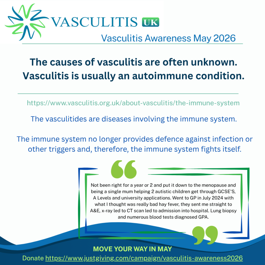 The vasculitides are diseases involving the immune system whereby the immune system no longer provides defence against infection or other triggers and, therefore, the immune system fights itself.