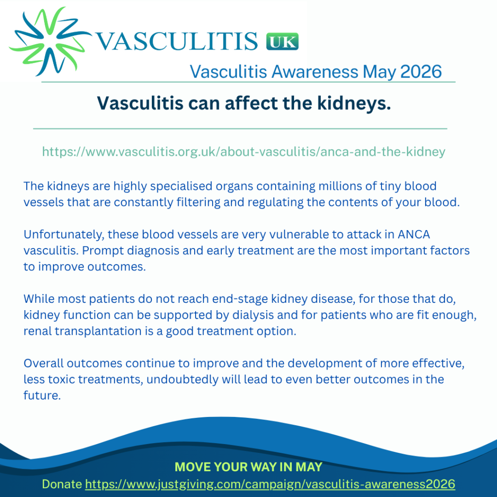 The kidneys are highly specialised organs containing millions of tiny blood vessels that are constantly filtering and regulating the contents of your blood. Unfortunately, these blood vessels are very vulnerable to attack in ANCA vasculitis. Prompt diagnosis and early treatment are the most important factors to improve outcomes. While most patients do not reach end-stage kidney disease, for those that do, kidney function can be supported by dialysis and for patients who are fit enough, renal transplantation is a good treatment option. Overall outcomes continue to improve and the development of more effective, less toxic treatments, undoubtedly will lead to even better outcomes in the future.